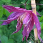 18699257_1017072195090167_5458056976024416322_o