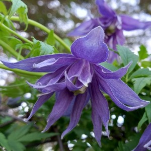 20210516_095450 20210516_095450