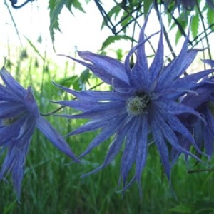 IMG_0346 — копия