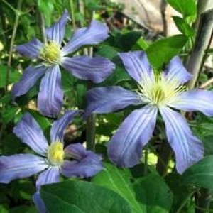 70905730_1647935492003831_6119984253955473408_n