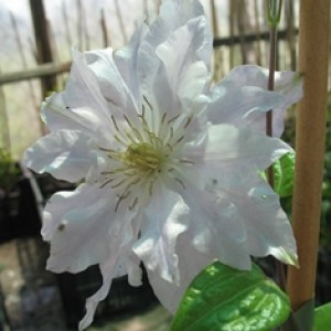 IMG_0351 — копия