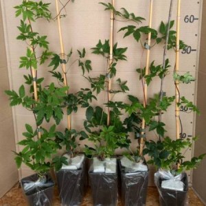 460191669_3232839486846749_8429098881818244468_n