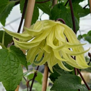 460923566_3241216272675737_5763122879541568394_n